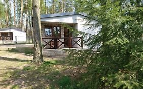 Domek letniskowy SZWED-POL